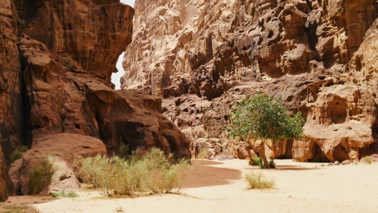 Majestic view of the Wadi Rum desert, Jordan, The Valley of the Moon. Orange sand, rocks, green plants. Springtime in desert. Discover the beauty of the earth. National park outdoors landscape.