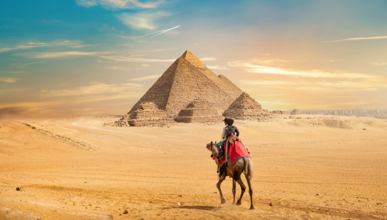 Camel and the Pyramids of Giza in Egypt