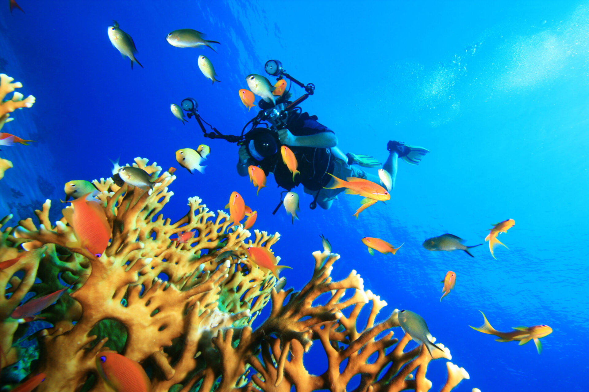 Underwater,Photographer,With,Digital,Slr,Camera,Diving,On,A,Coral